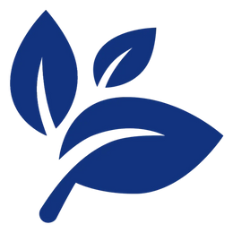 plant with 3 leafs