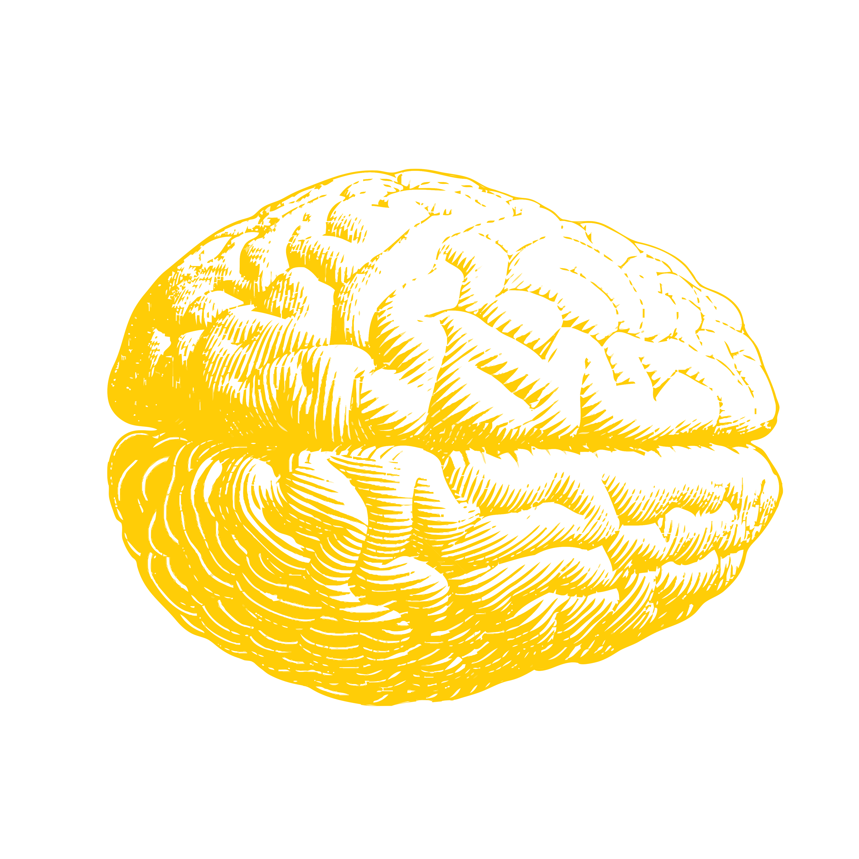 Brain_yellow.png__PID:775d11a1-988e-4b90-a01a-c6fe2385d6ba