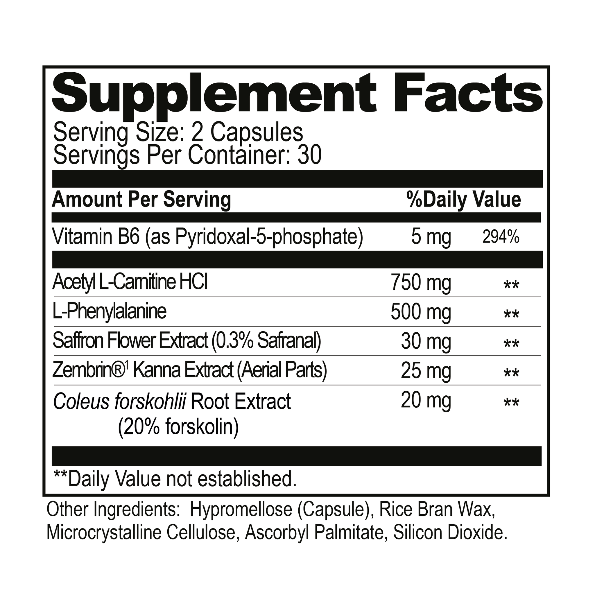 NEUROFUEL™ Nootropic W/ Zembrin®
