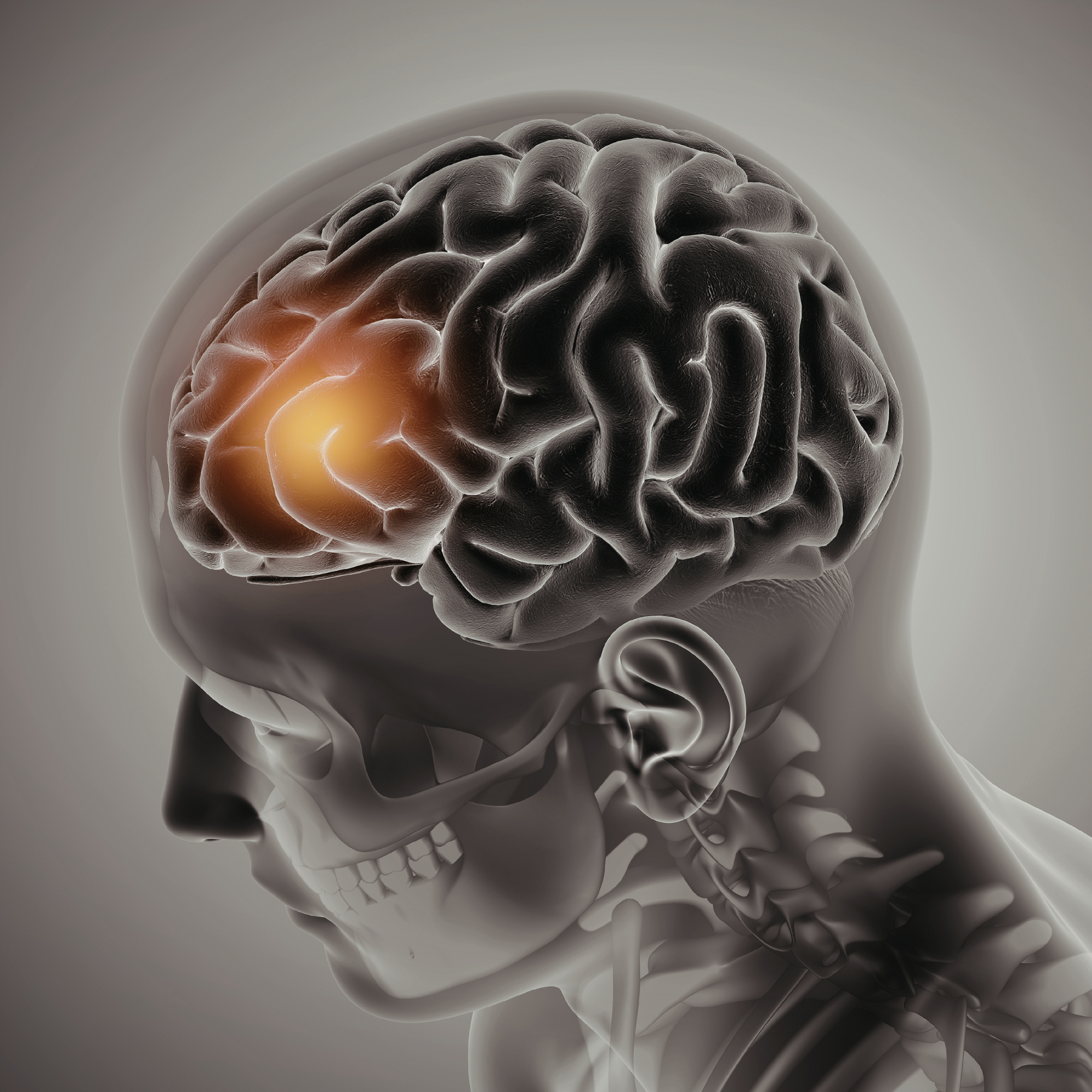 Skeletal head with a glowing brain on a gradient background