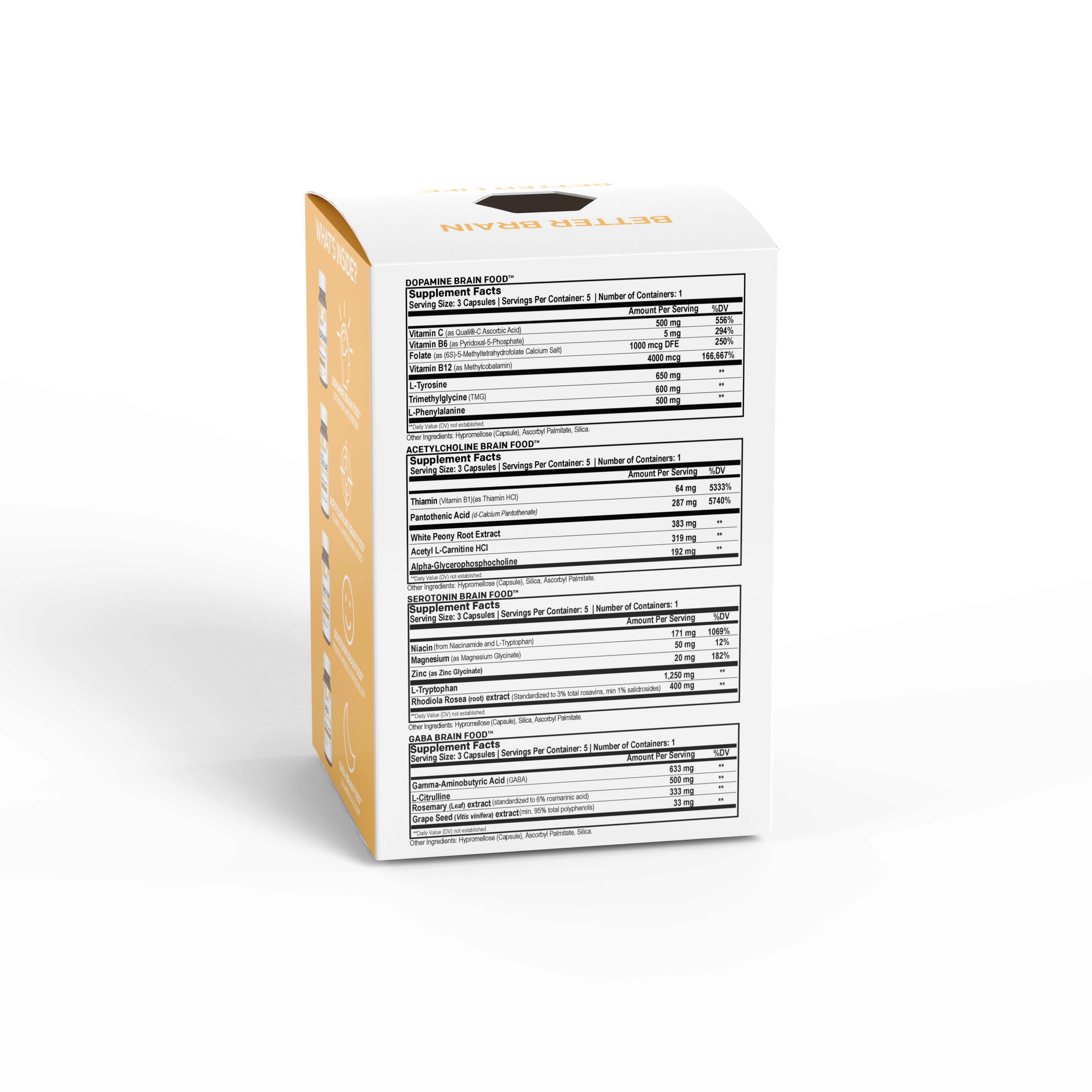 Mini Brain Food™ Box