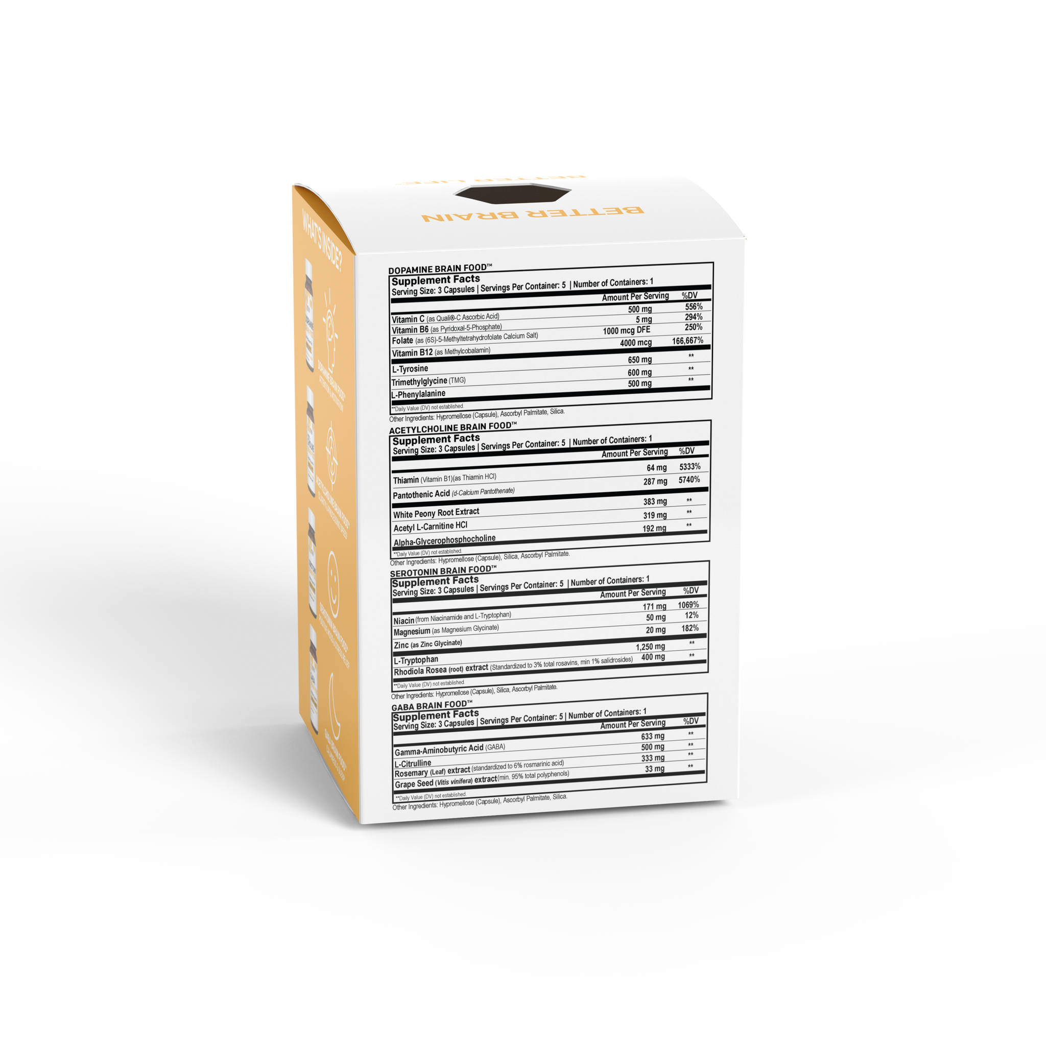 Mini Brain Food™ Box